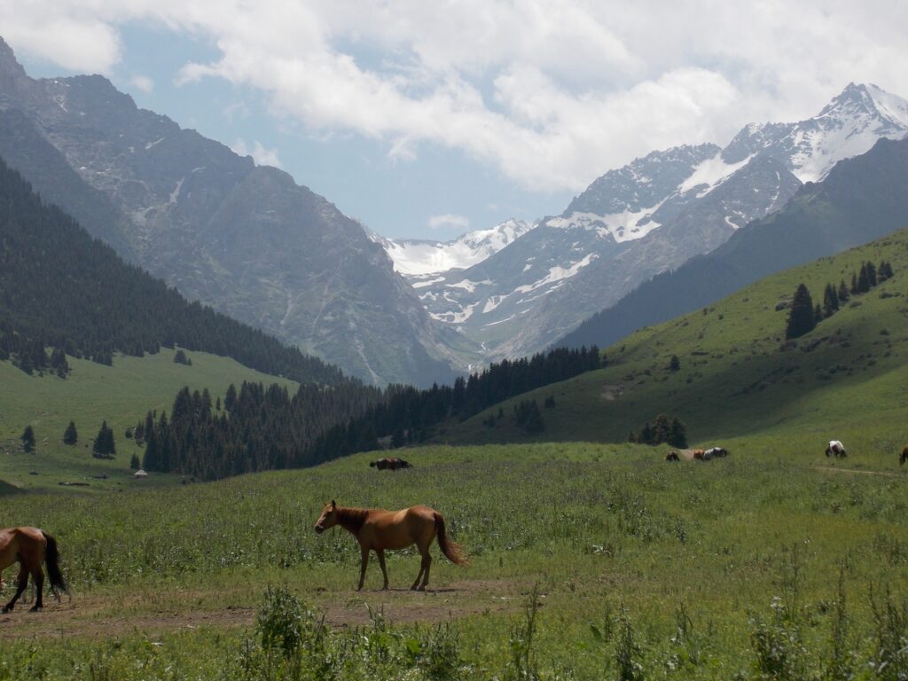 Пример мероприятия